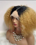 AFRO WIGS COLOR