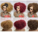 AFRO WIGS COLOR